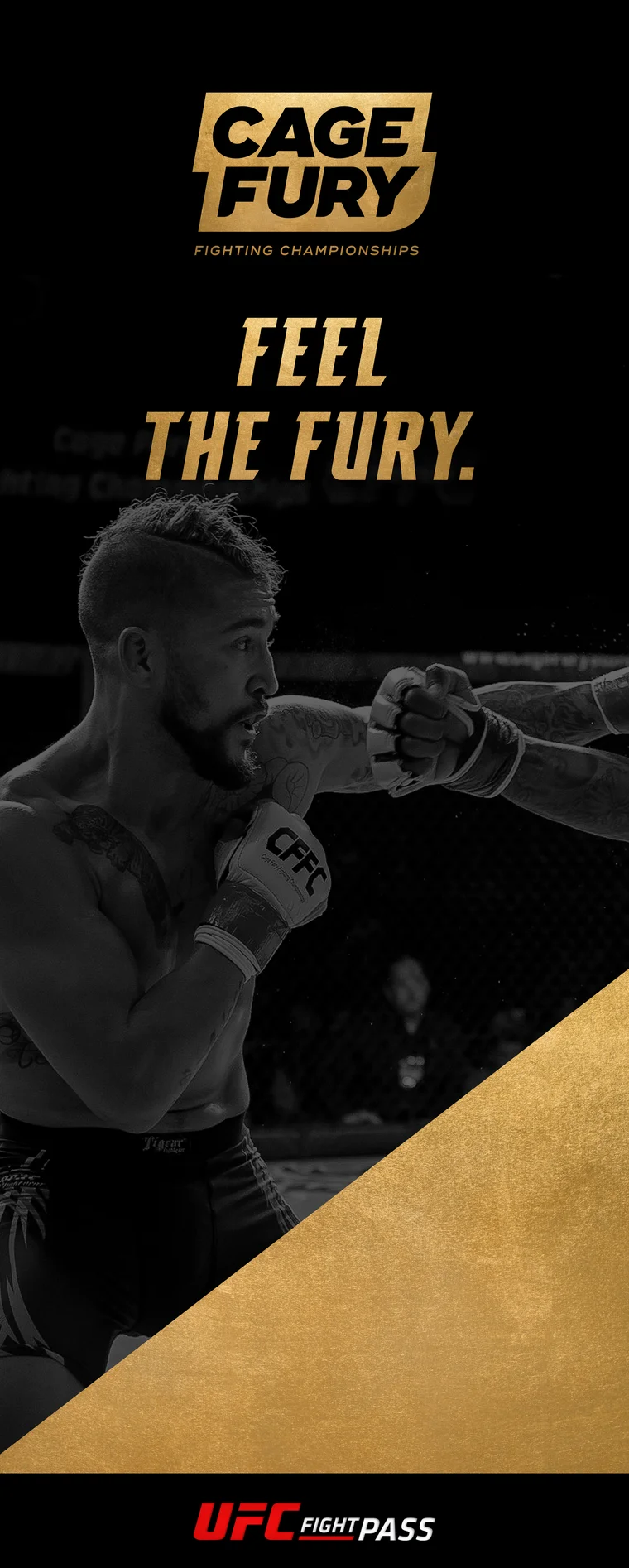 Roll-up banner: Feel the Fury