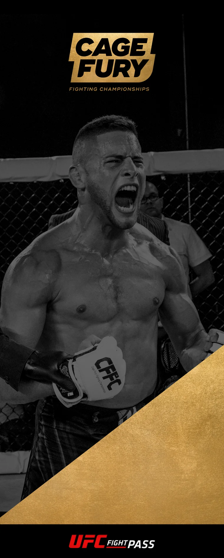 Roll-up banner: A fighter roaring in the cage
