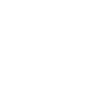 Pretty Bird