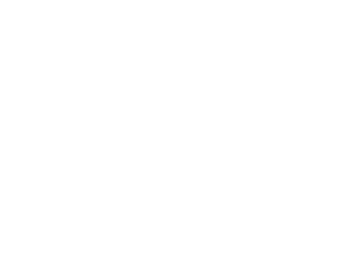 BLOCS