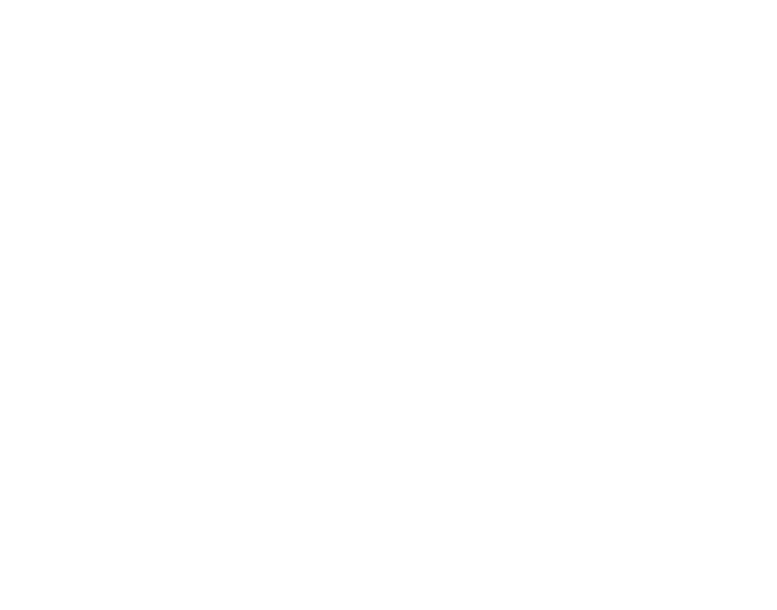 Cage Fury