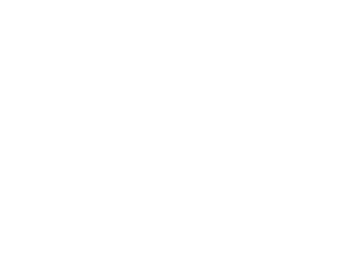 Pretty Bird