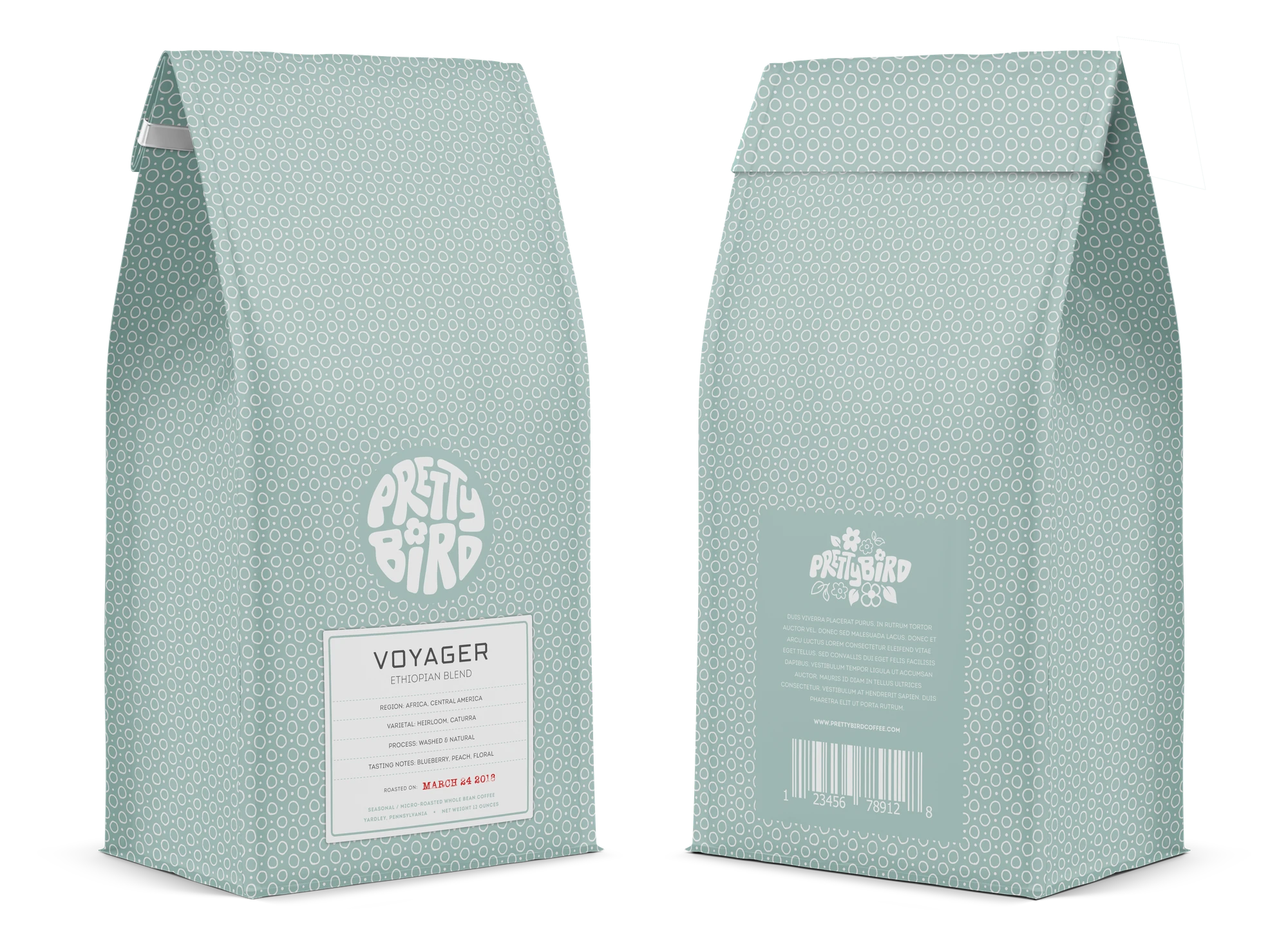 The Voyager coffee bag in mint, front and back